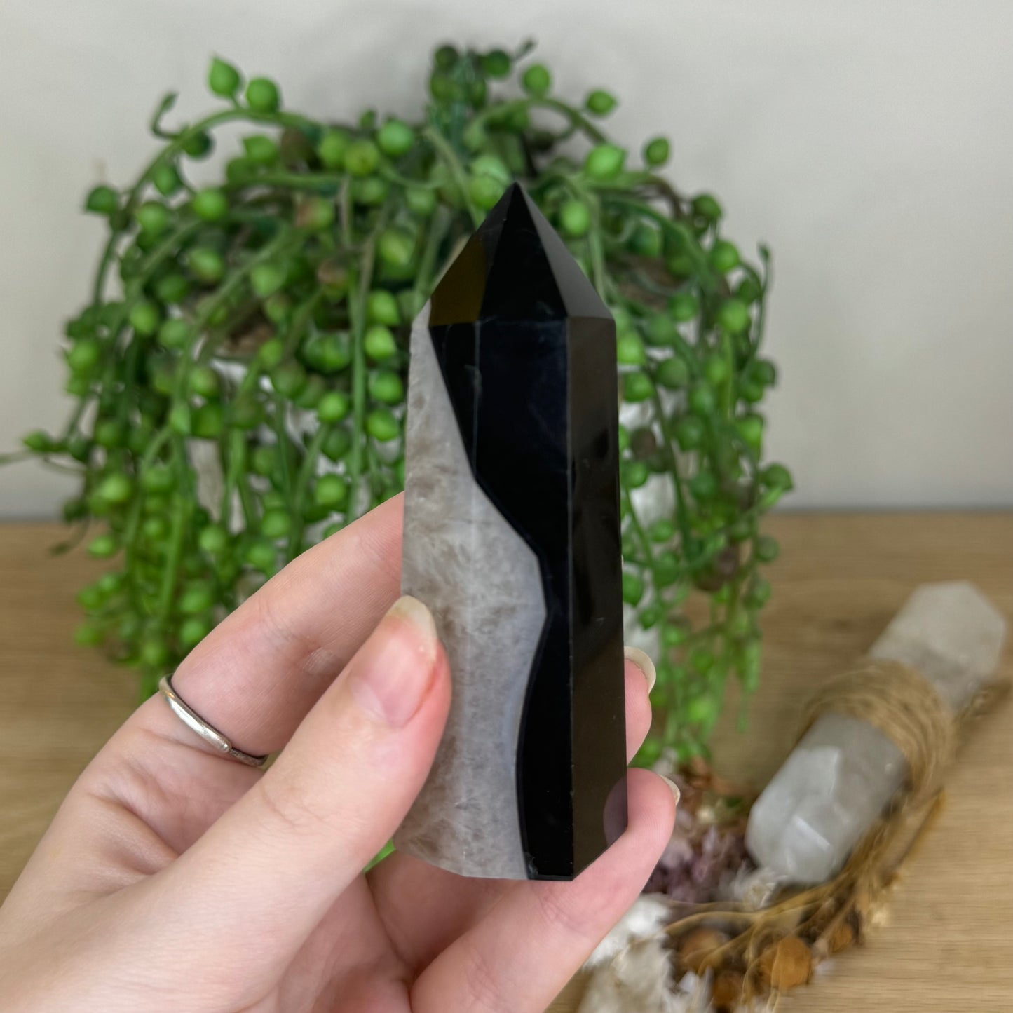 Black Agate Point (P984)