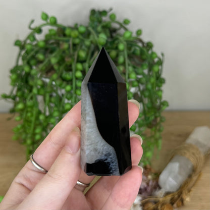 Black Agate Point (P982)
