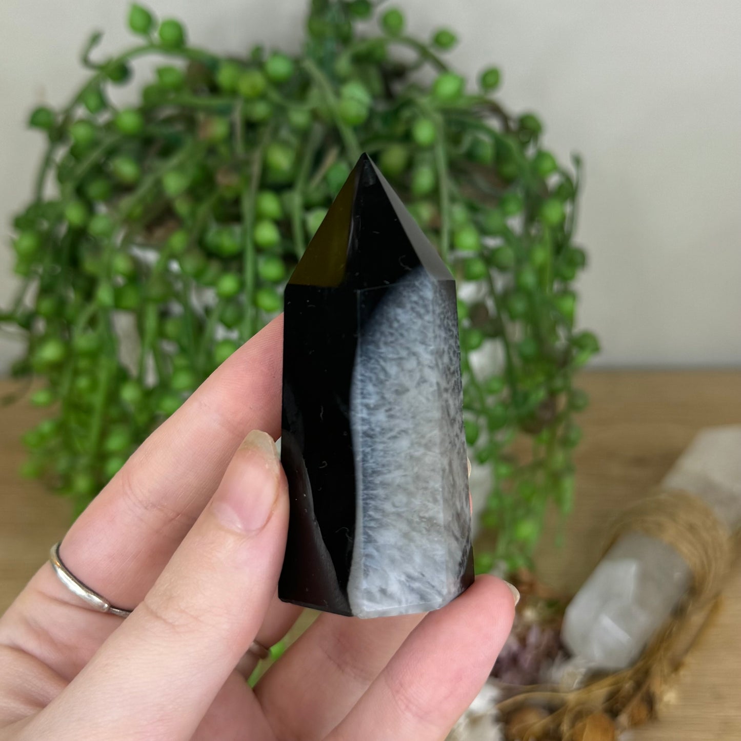 Black Agate Point (P982)