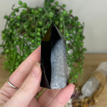 Black Agate Point (P982)