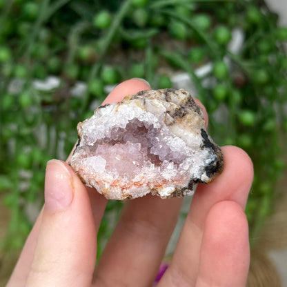 Pink Amethyst Cluster Geode (378A)