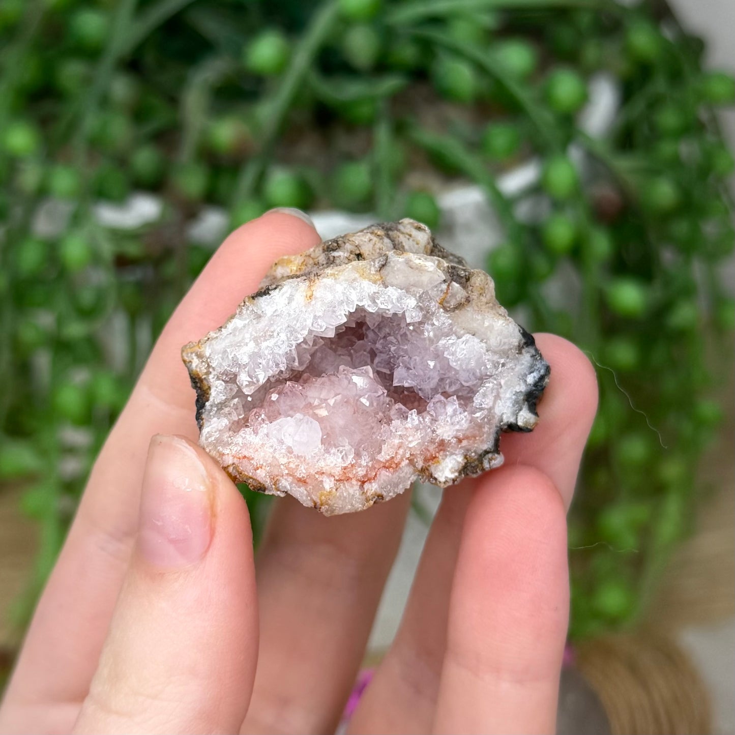 Pink Amethyst Cluster Geode (378A)