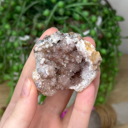Pink Amethyst Cluster Geode (382A)