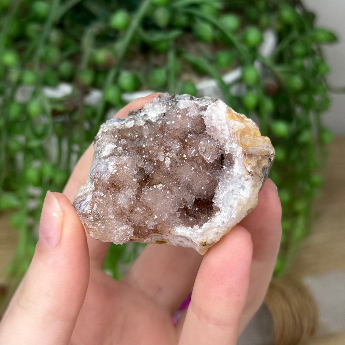 Pink Amethyst Cluster Geode (382A)