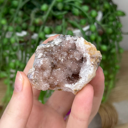 Pink Amethyst Cluster Geode (382A)