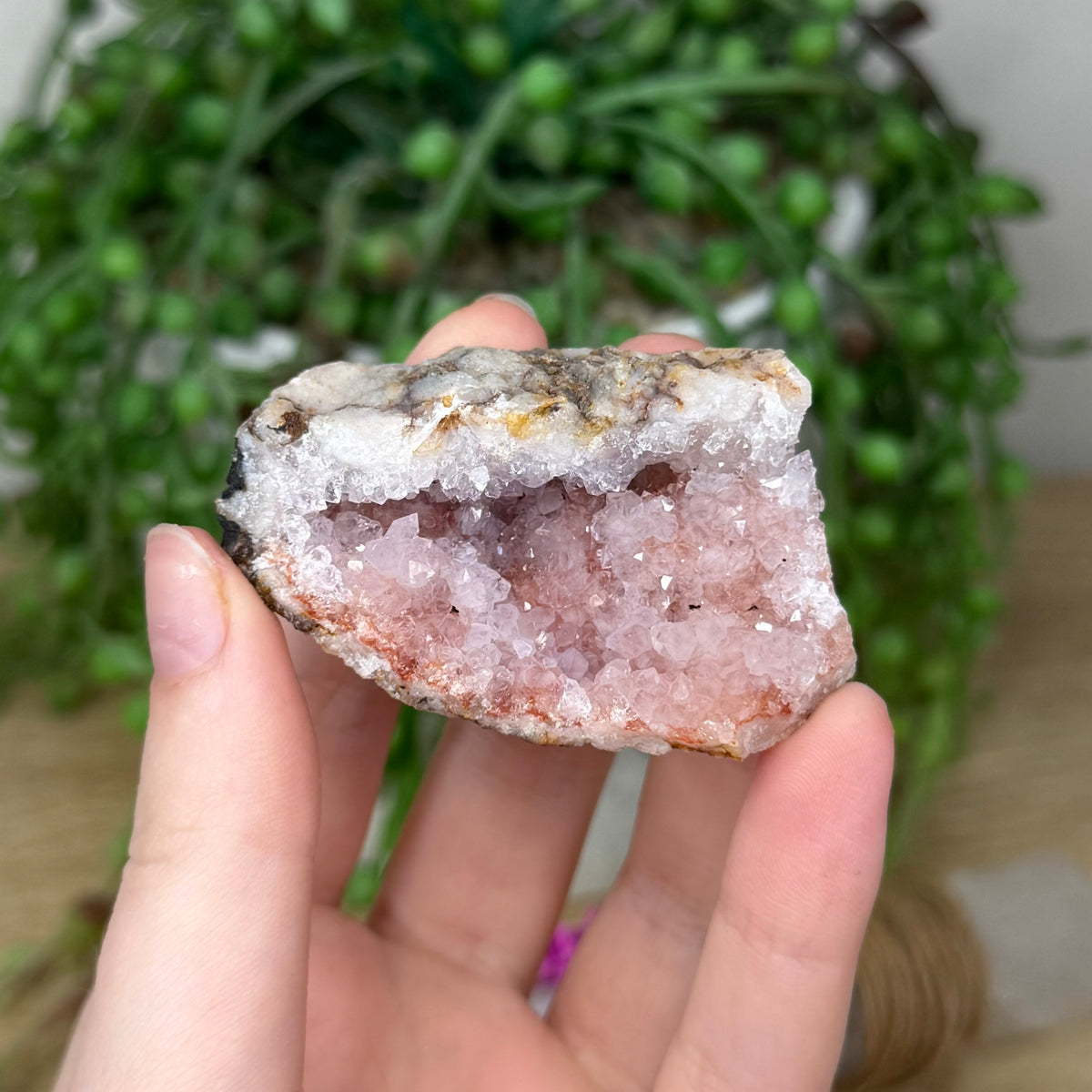 Pink Amethyst Cluster Geode (381A)