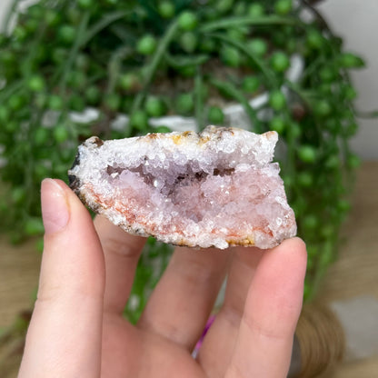 Pink Amethyst Cluster Geode (381A)