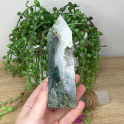 Druzy Moss Agatę Tower (374A)
