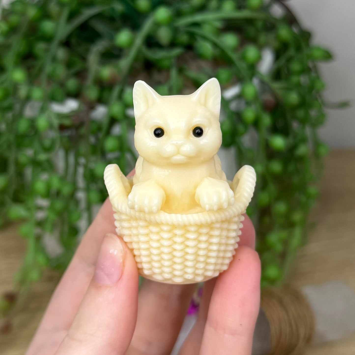 Tagua Cat In Basket (639A) (637A)