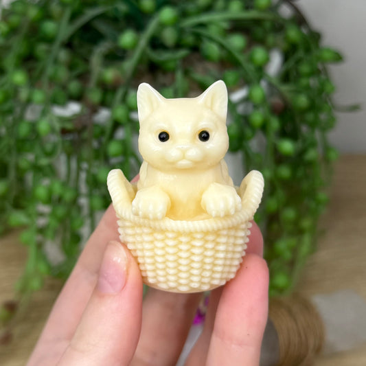 Tagua Cat In Basket (639A) (637A)