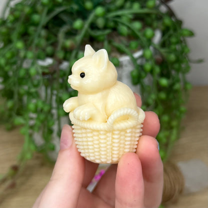Tagua Cat In Basket (639A) (637A)