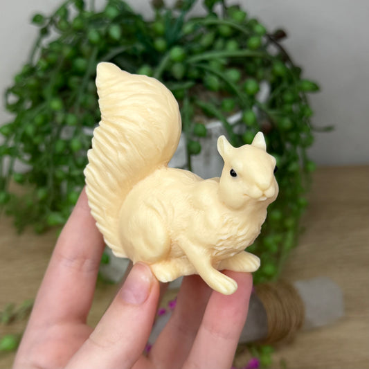 Tagua Squirrel