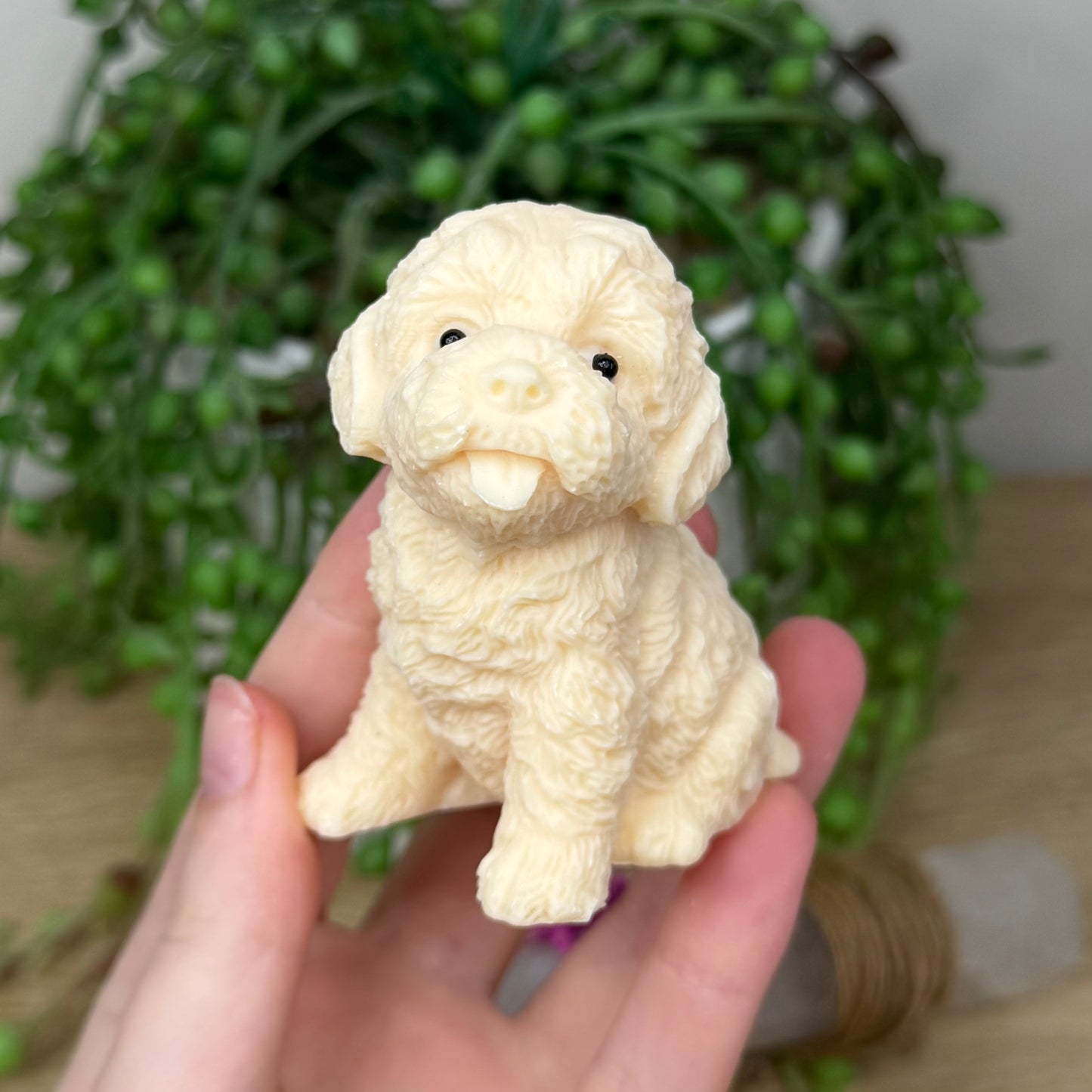 Tagua Dog 2