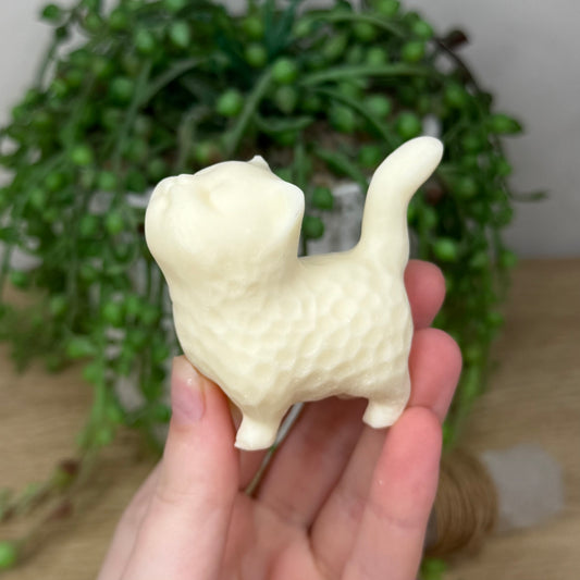 Tagua Cat