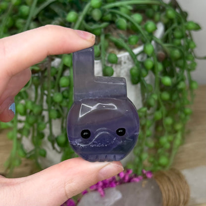 Purple Fluorite Love Pet Rock Set (604A)