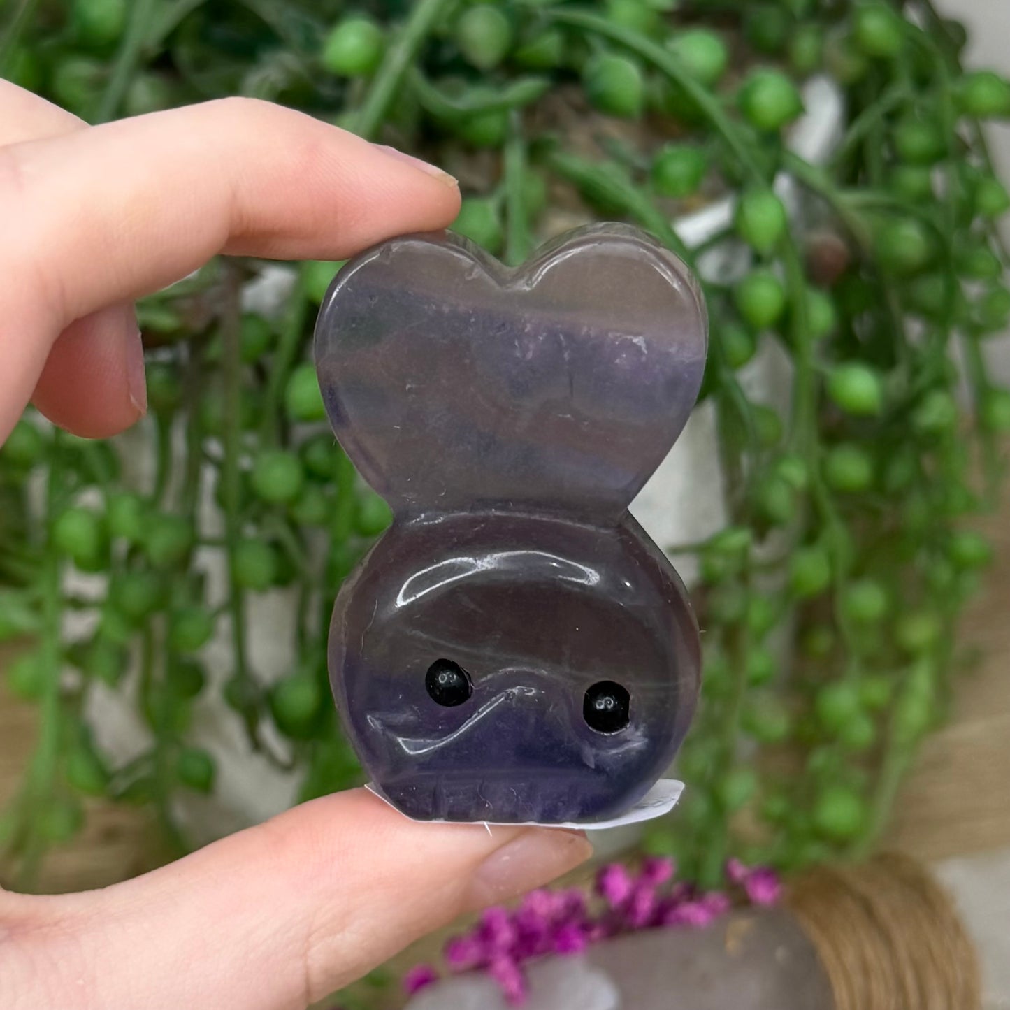 Purple Fluorite Love Pet Rock Set (604A)