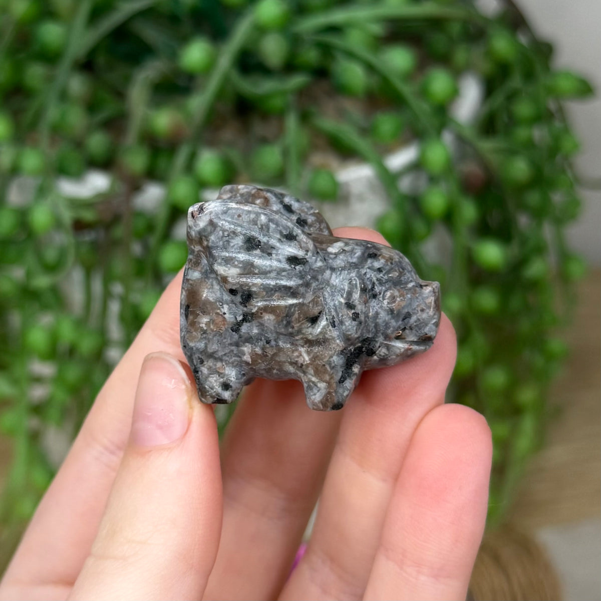 Yooperlite Flying Pig (612A)