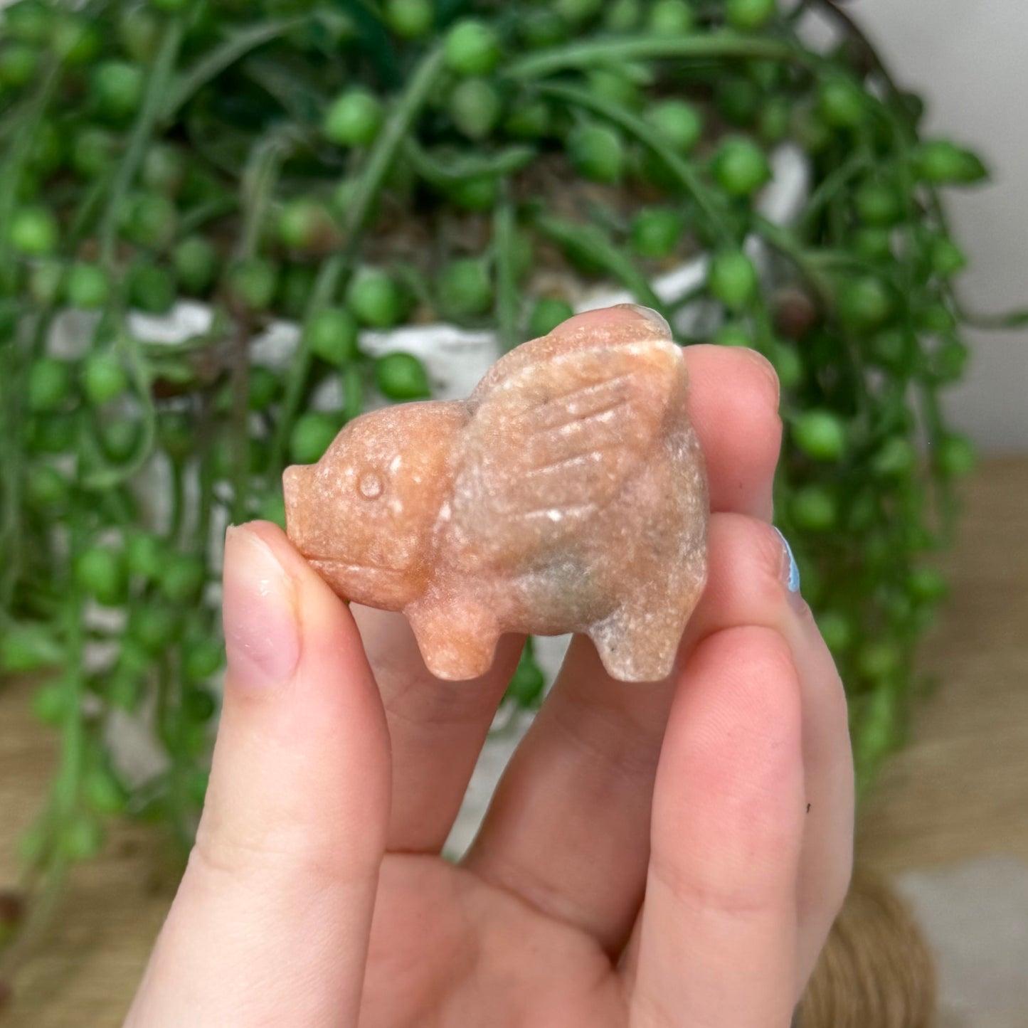 Sunstone Flying Pig (618A)