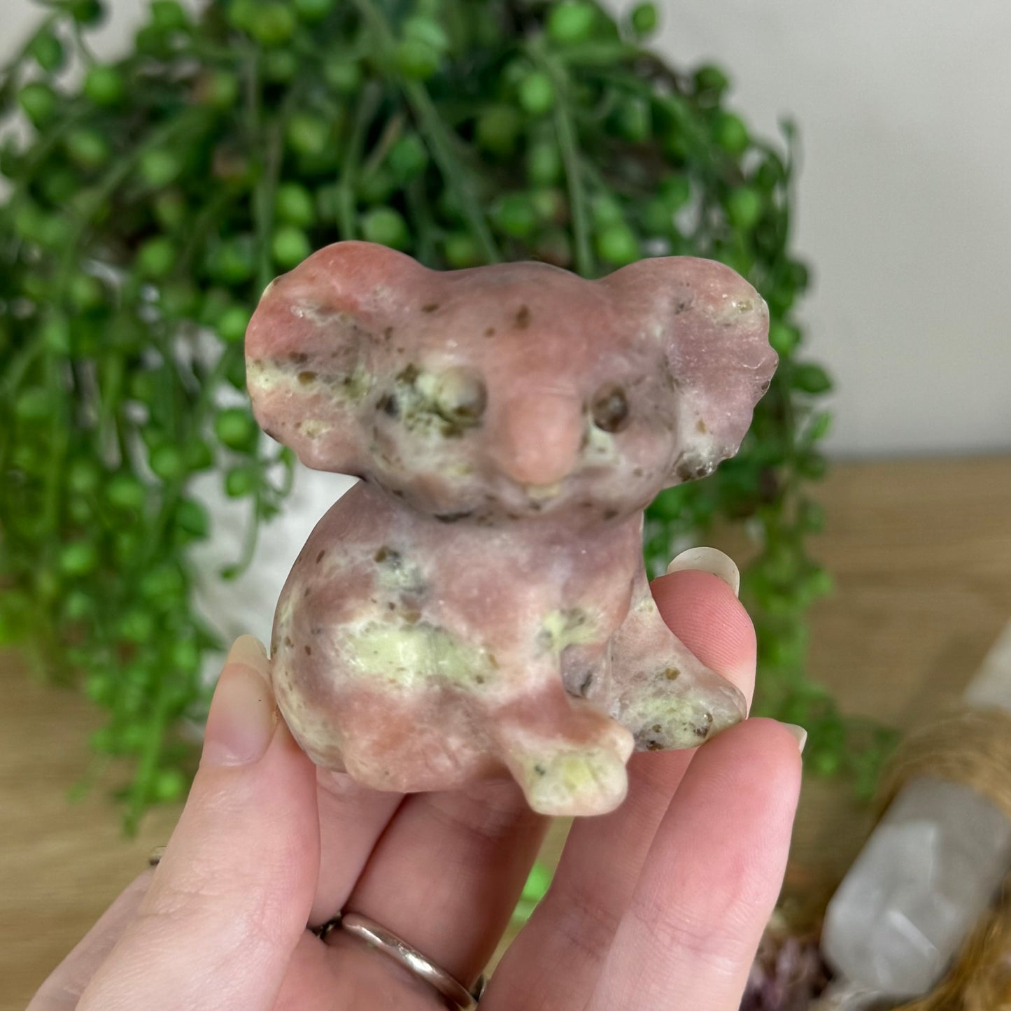 Plum Blossom Jasper Koala (Q322)