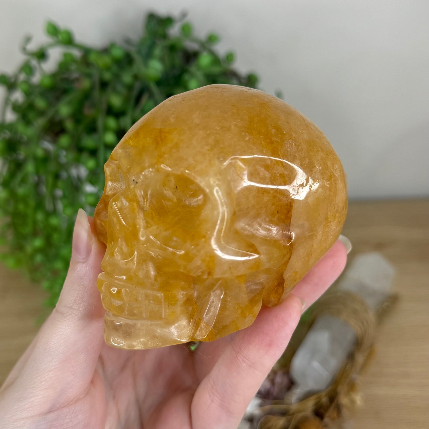 Golden Healer Skull (Q345)