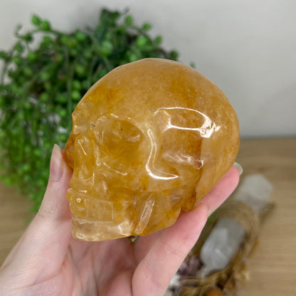 Golden Healer Skull (Q345)