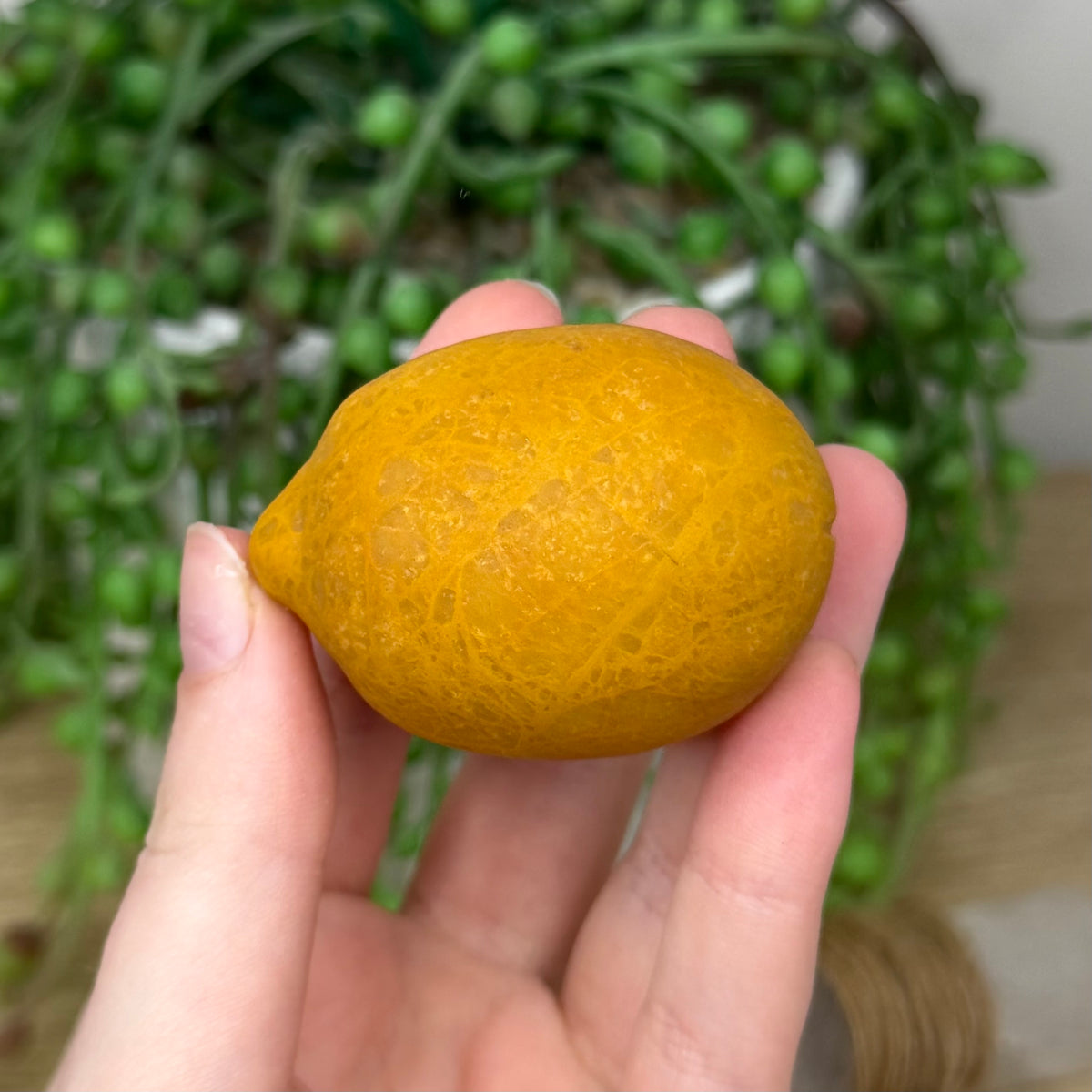 Yellow Mudstone Lemon (493A)