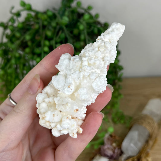Stalactite Cluster (P906)