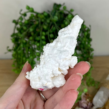 Stalactite Cluster (P906)