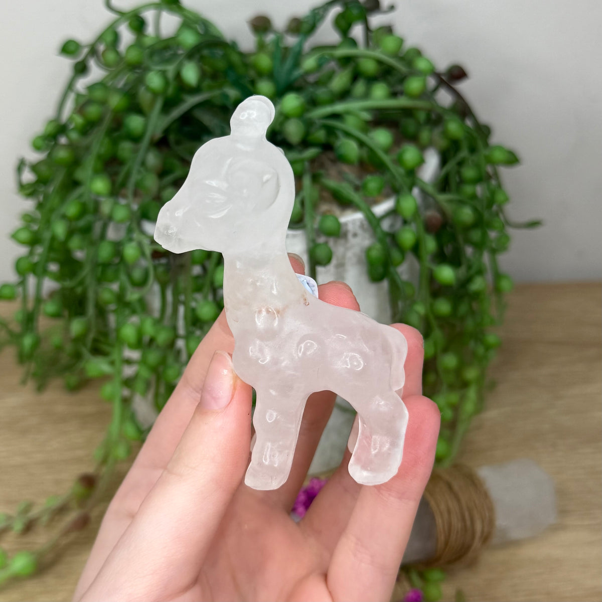 Clear Quartz Giraffe (467A)