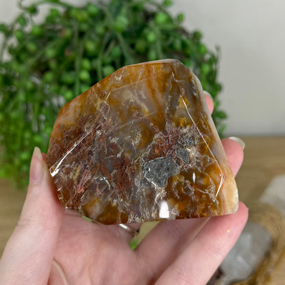 Red Moss Agate Free Form (Q331)
