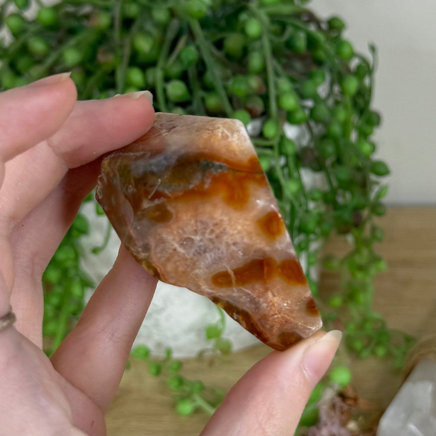 Red Moss Agate Free Form (Q330)