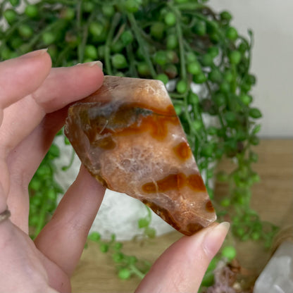 Red Moss Agate Free Form (Q330)