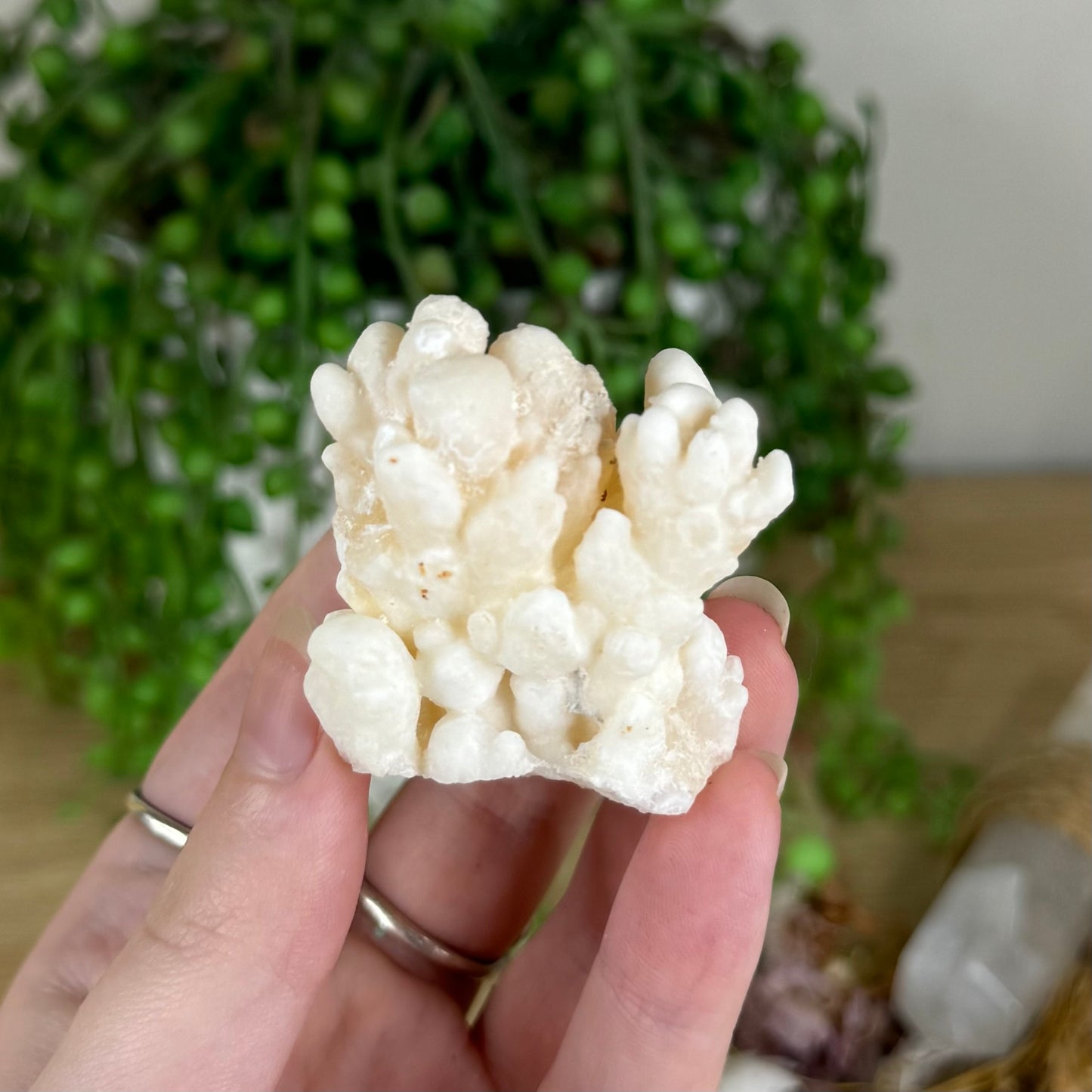 Stalactite Cluster (P900)