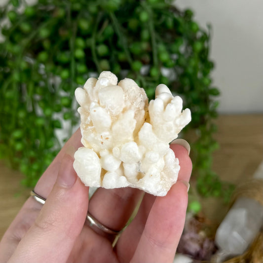Stalactite Cluster (P900)