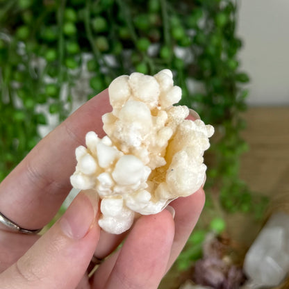 Stalactite Cluster (P900)