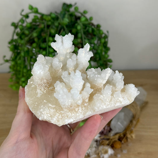 Stalactite Cluster (P911)