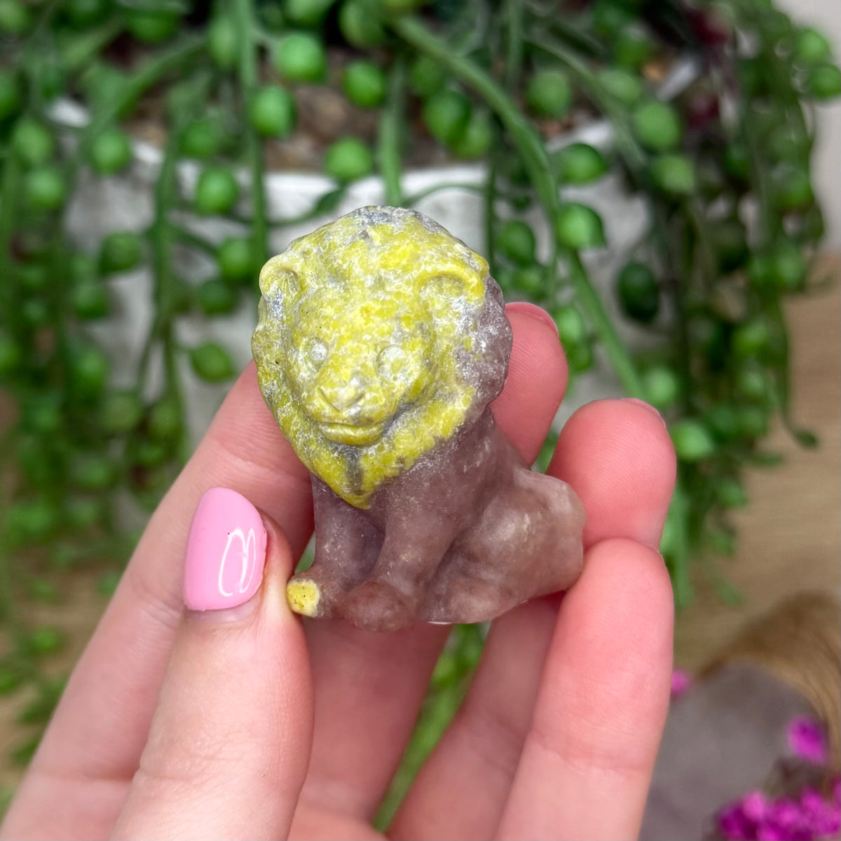 Plum Blossom Jasper Lion (751A)