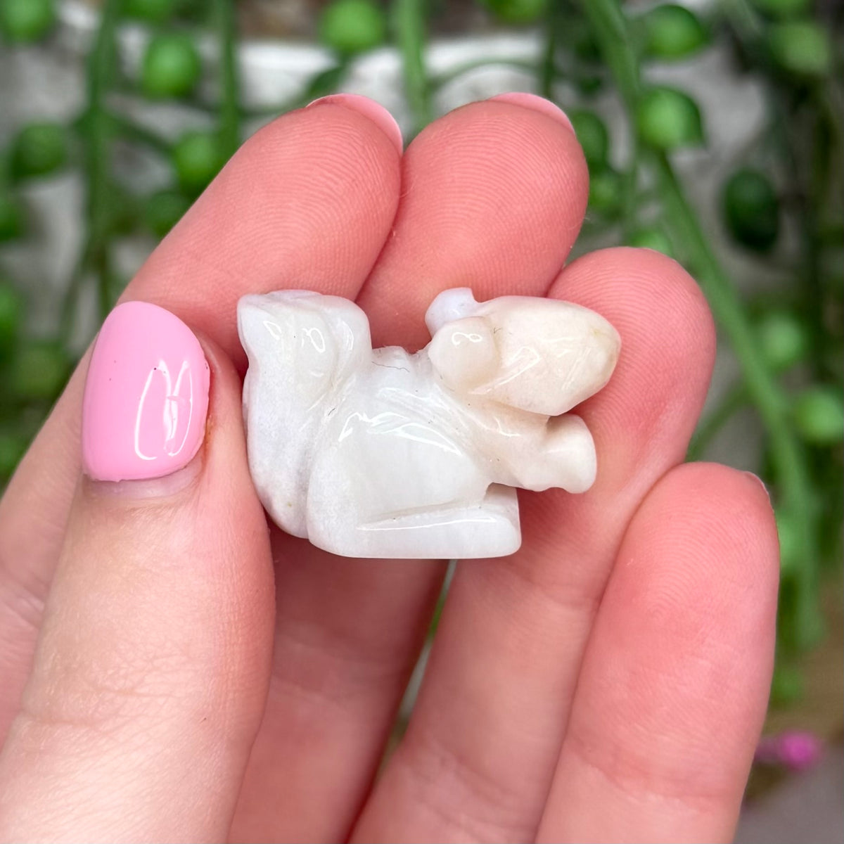 Agate Small Squirrel