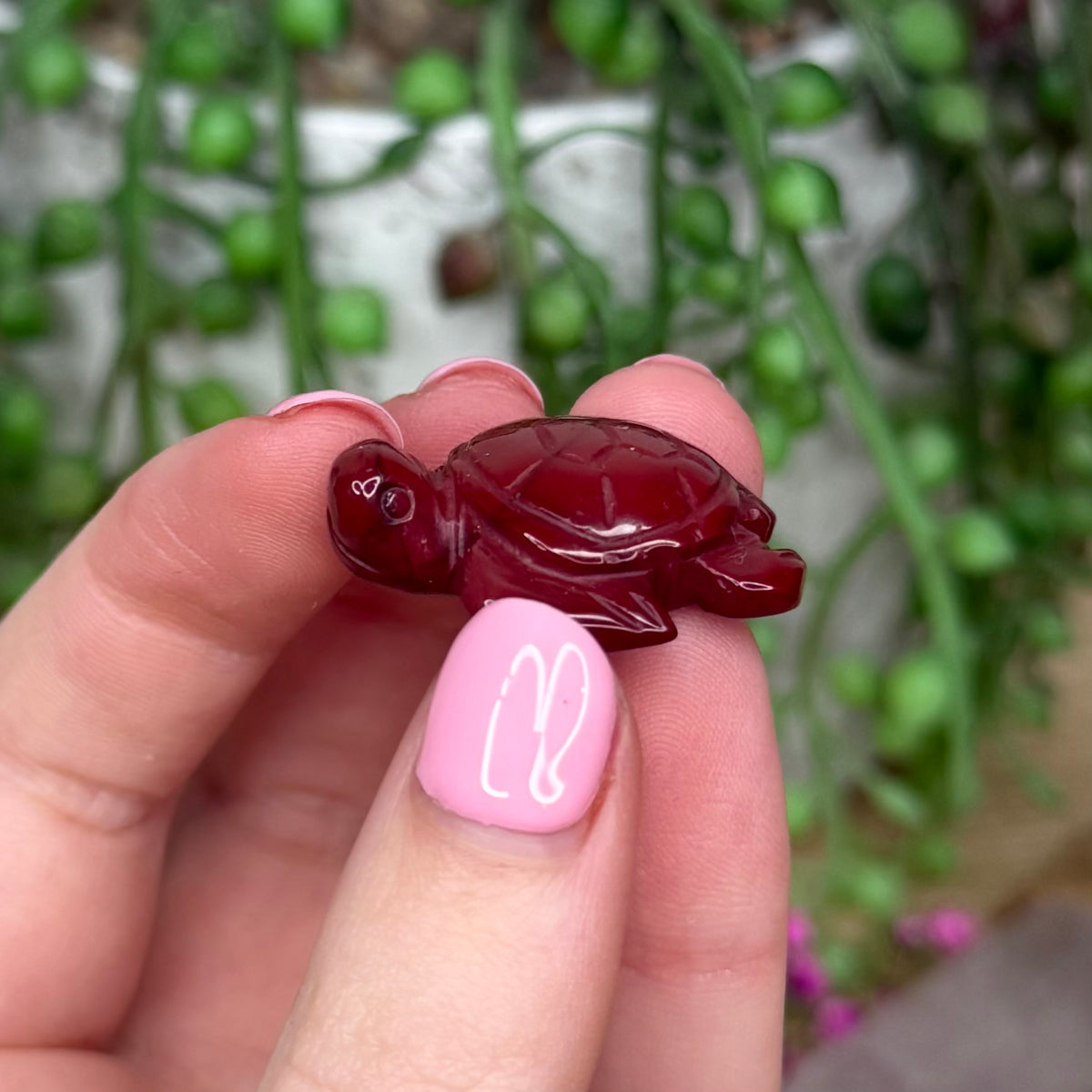 Mookaite Mini Turtle