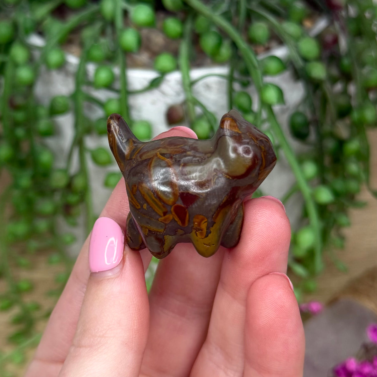 Polychrome Jasper Small Round Cat