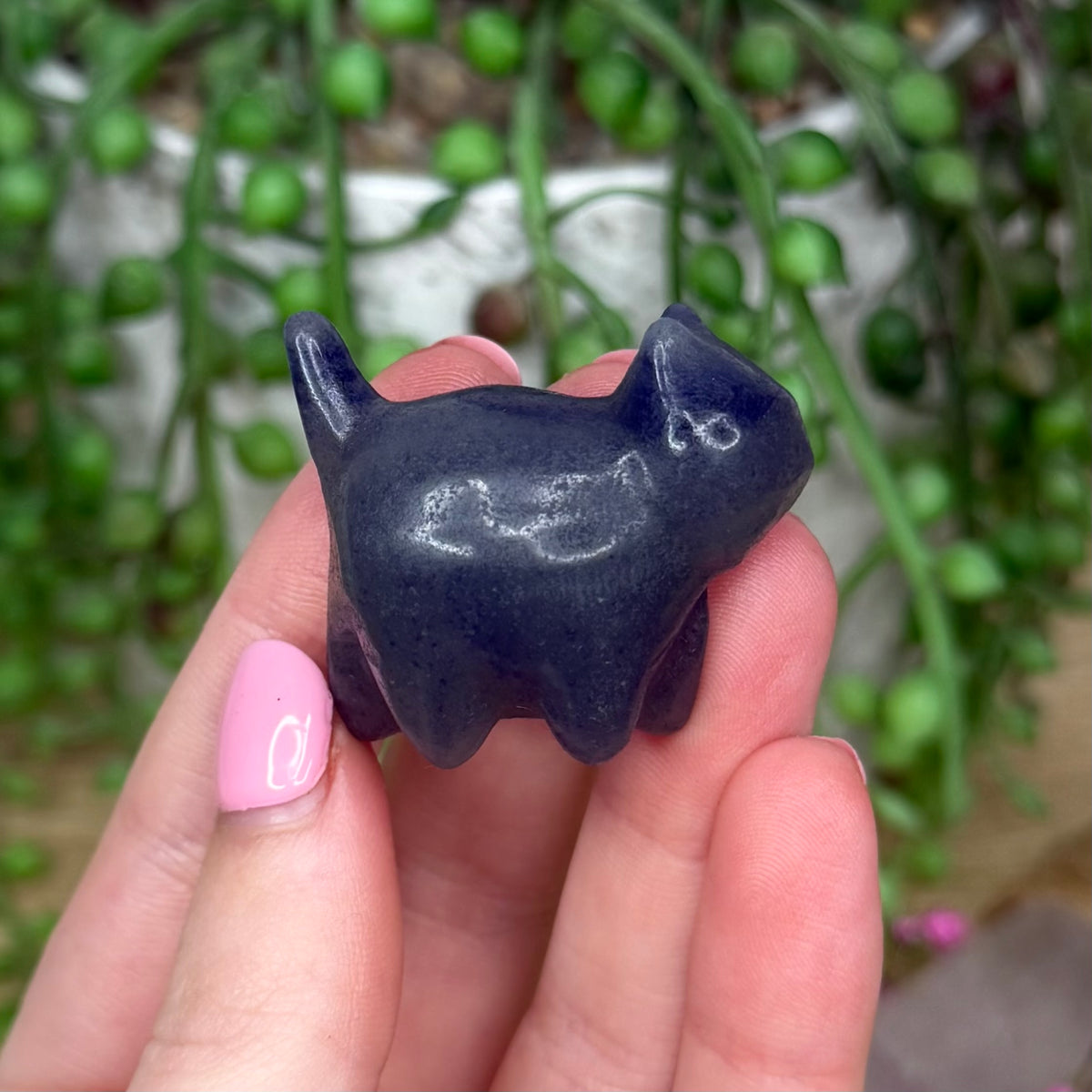 Blue Aventurine Small Round Cat