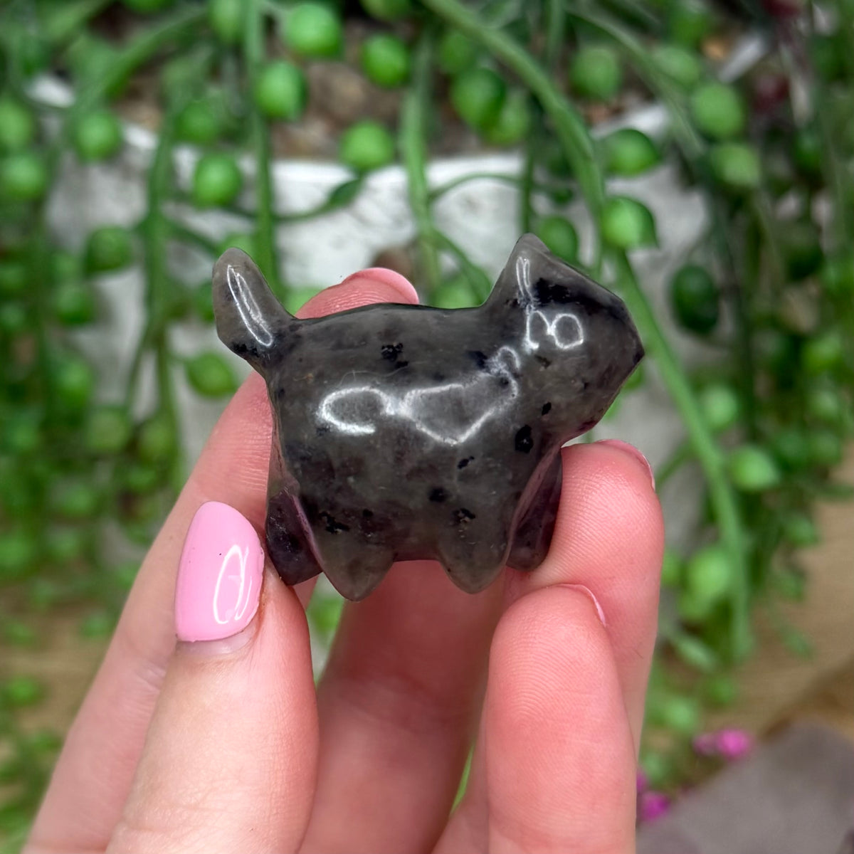Yooperlite Small Round Cat