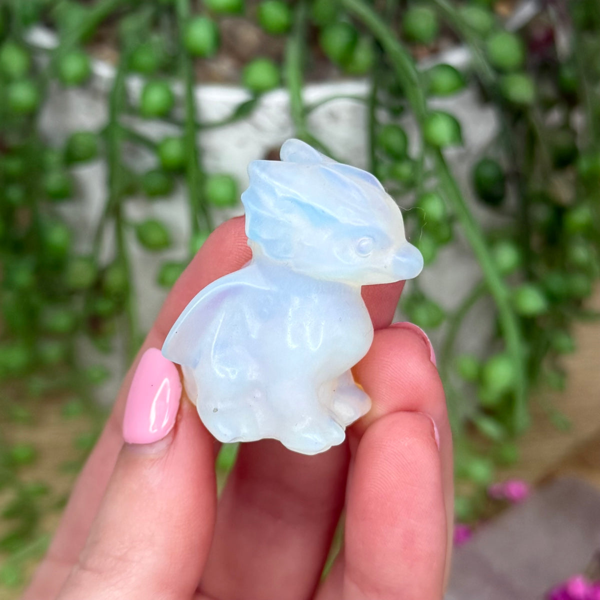 Opalite Dragon (727A) (728A)