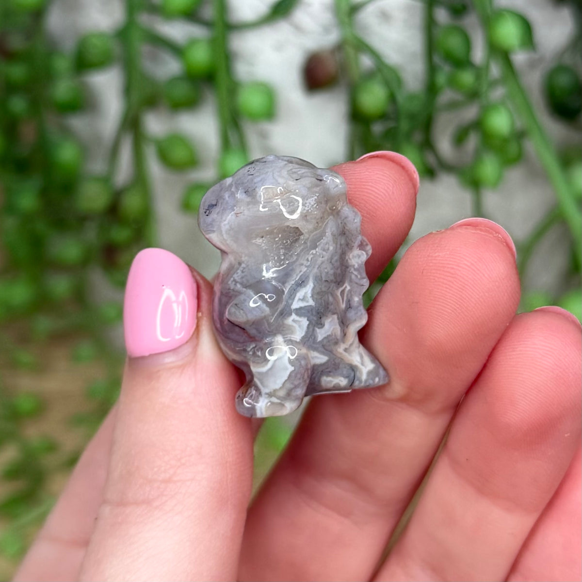 Ocean Jasper Small Chubby Dino 4