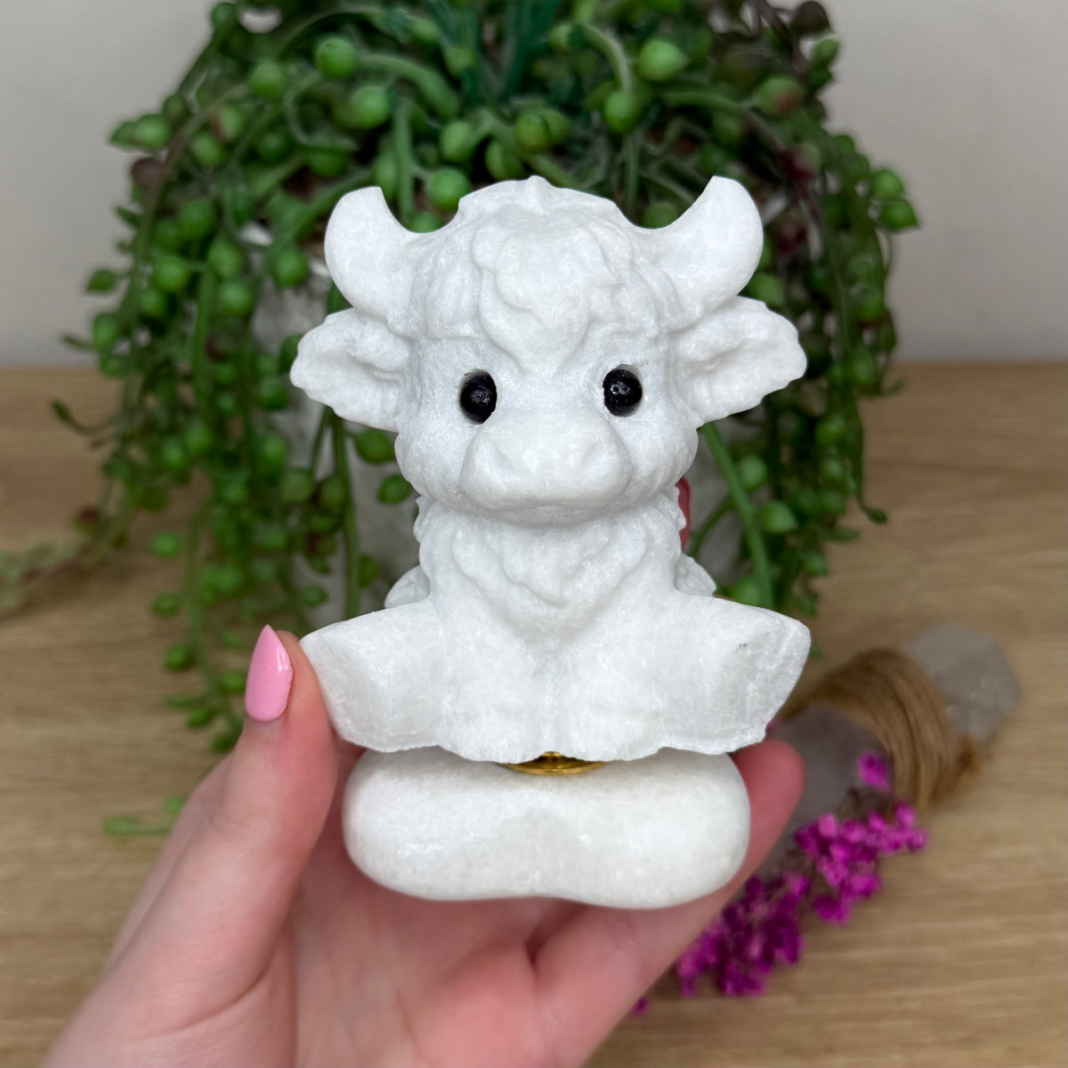 White Jade Spinning Highland Cow (681A)
