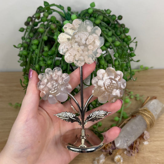 Flower Agate Flowers On Stand (W550)