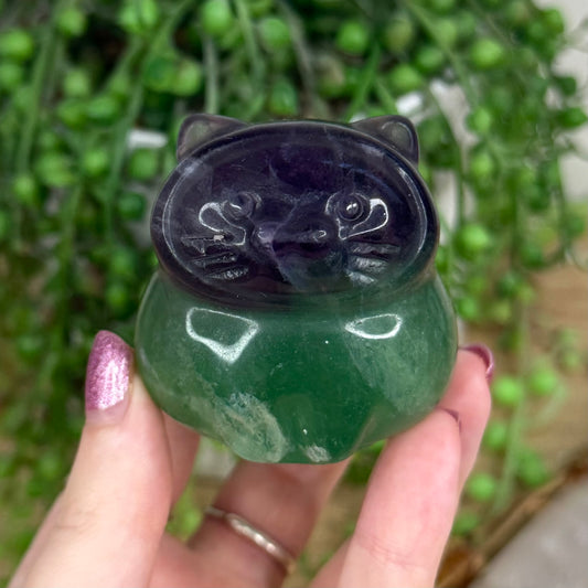 Fluorite Cat (R746)