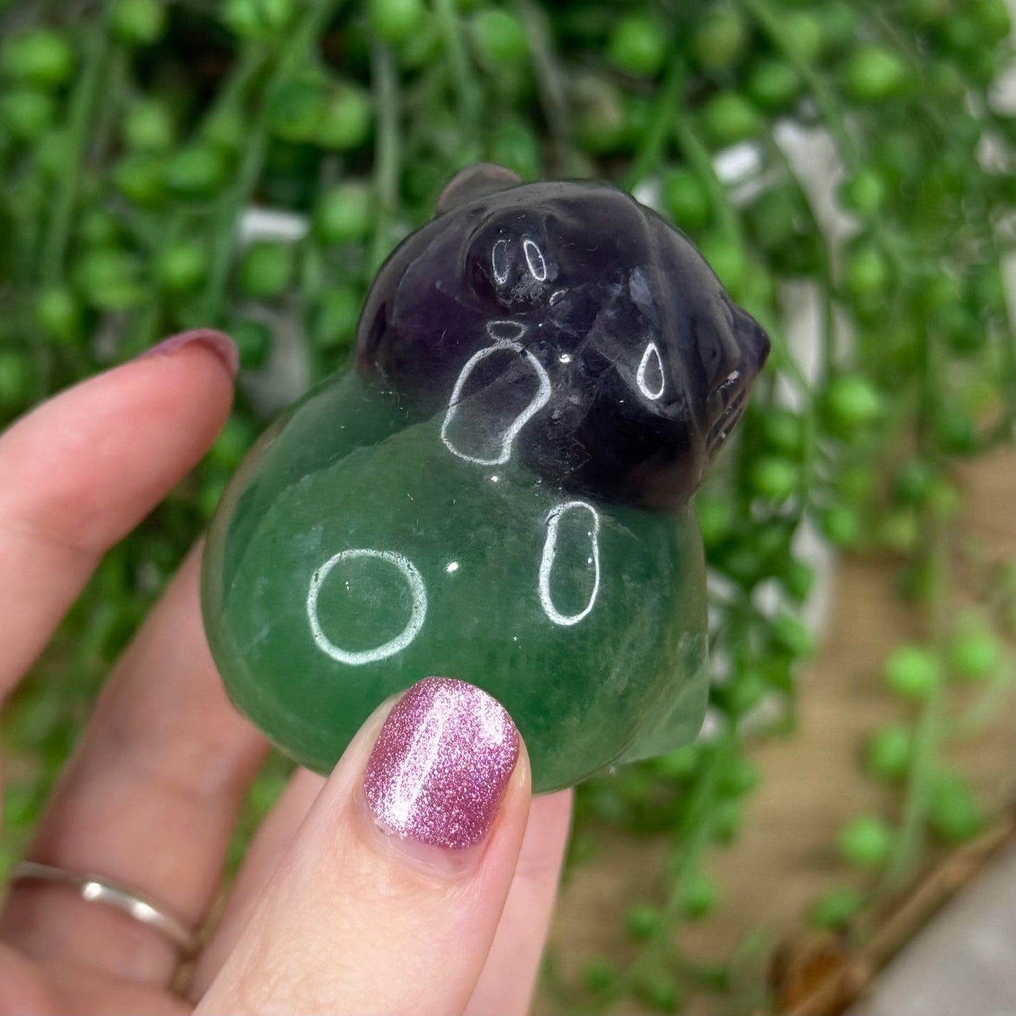 Fluorite Cat (R746)