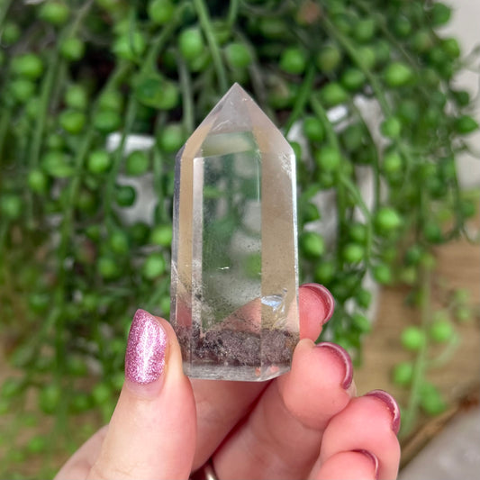 Garden Quartz Point (W584)