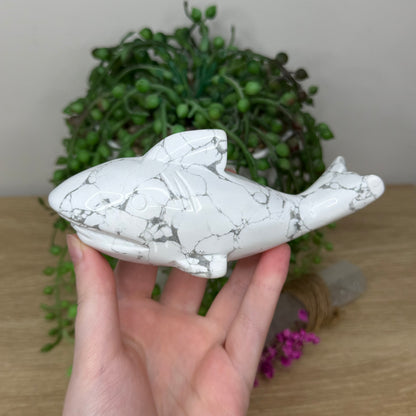 Howlite Shark (936A)